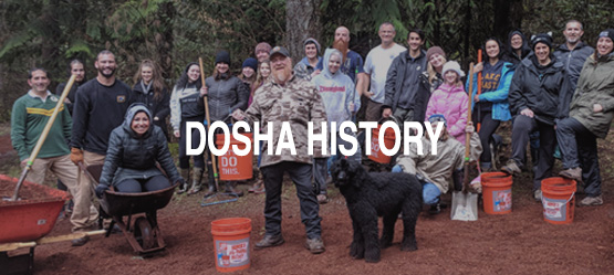 History of Dosha Salon Spa