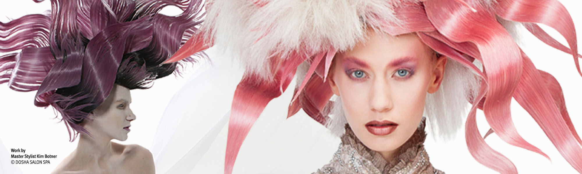 image of the dosha creative team photoshoot by master stylist kim botner, avant garde stylist of the year NW hairstyling awards